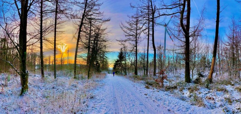 tl_files/images/Wahl2026/wiwa26 bild.jpg